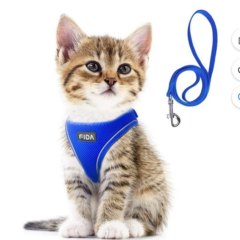 Fida Blue Dog or Cat Harness with Leash
XXXS - Picture 2 of 10